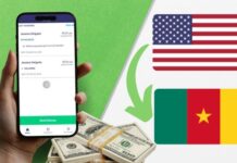 How to Avoid Hidden Charges When Sending Money to Cameroon